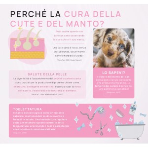 REALVET SKIN & COAT cura cute e manto
